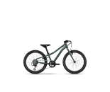  PRORACE 20 SL - C2 Gem. sage leaf green-matt&glossy 2026